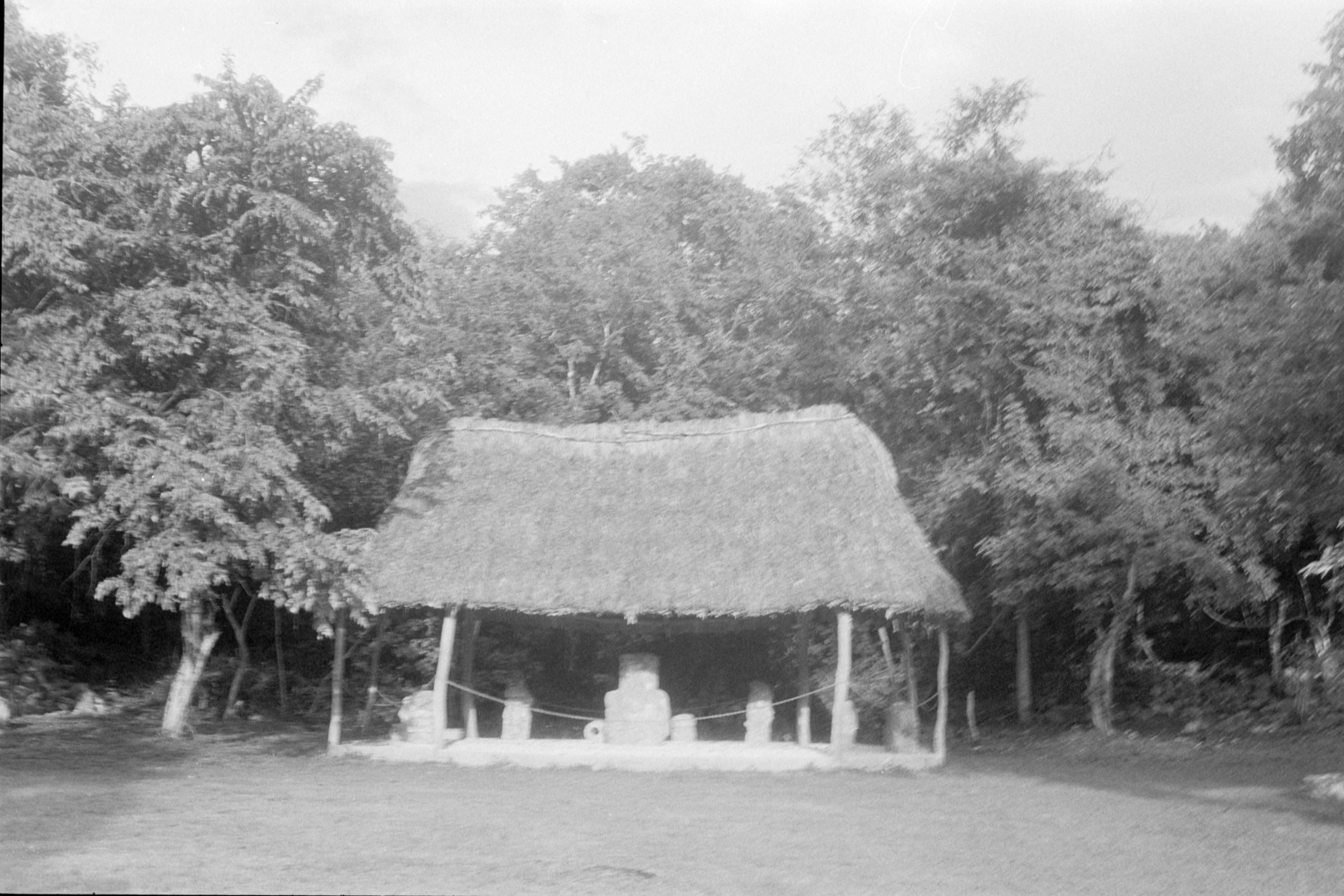 AHP FilmScan 240807 0680